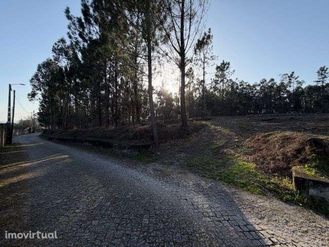 Terreno - Fiscal, Amares - Grande imagem: 3/7