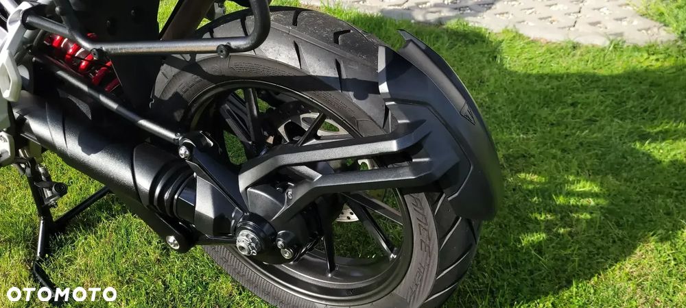 Triumph Tiger - 9