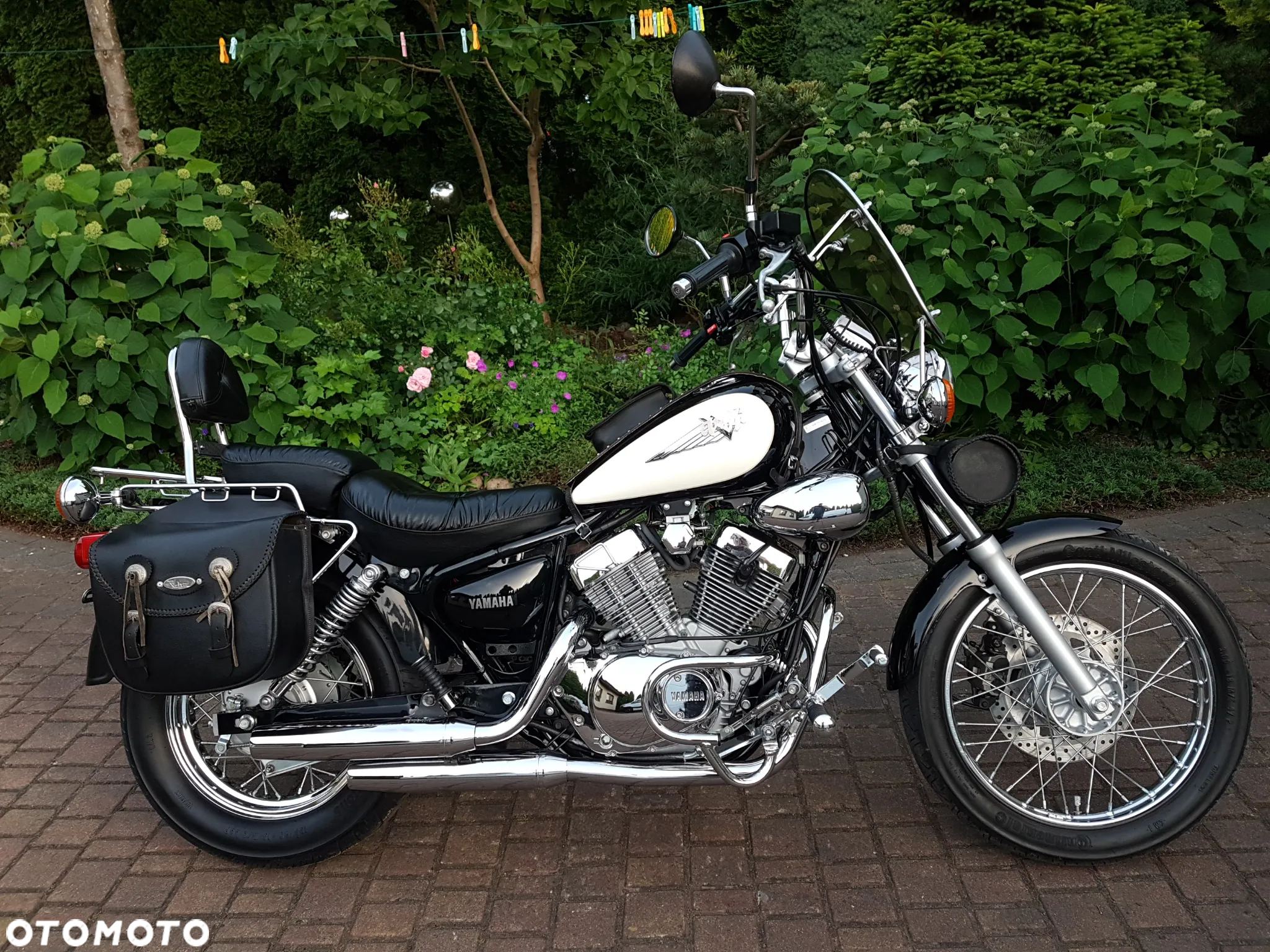 Yamaha Virago - 4
