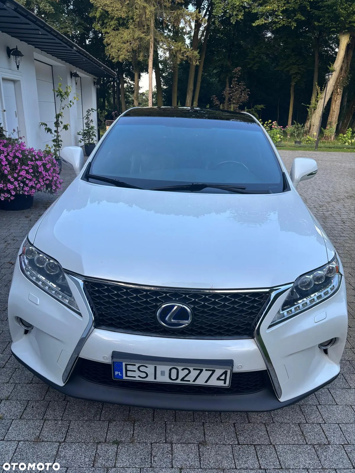 Lexus RX - 3