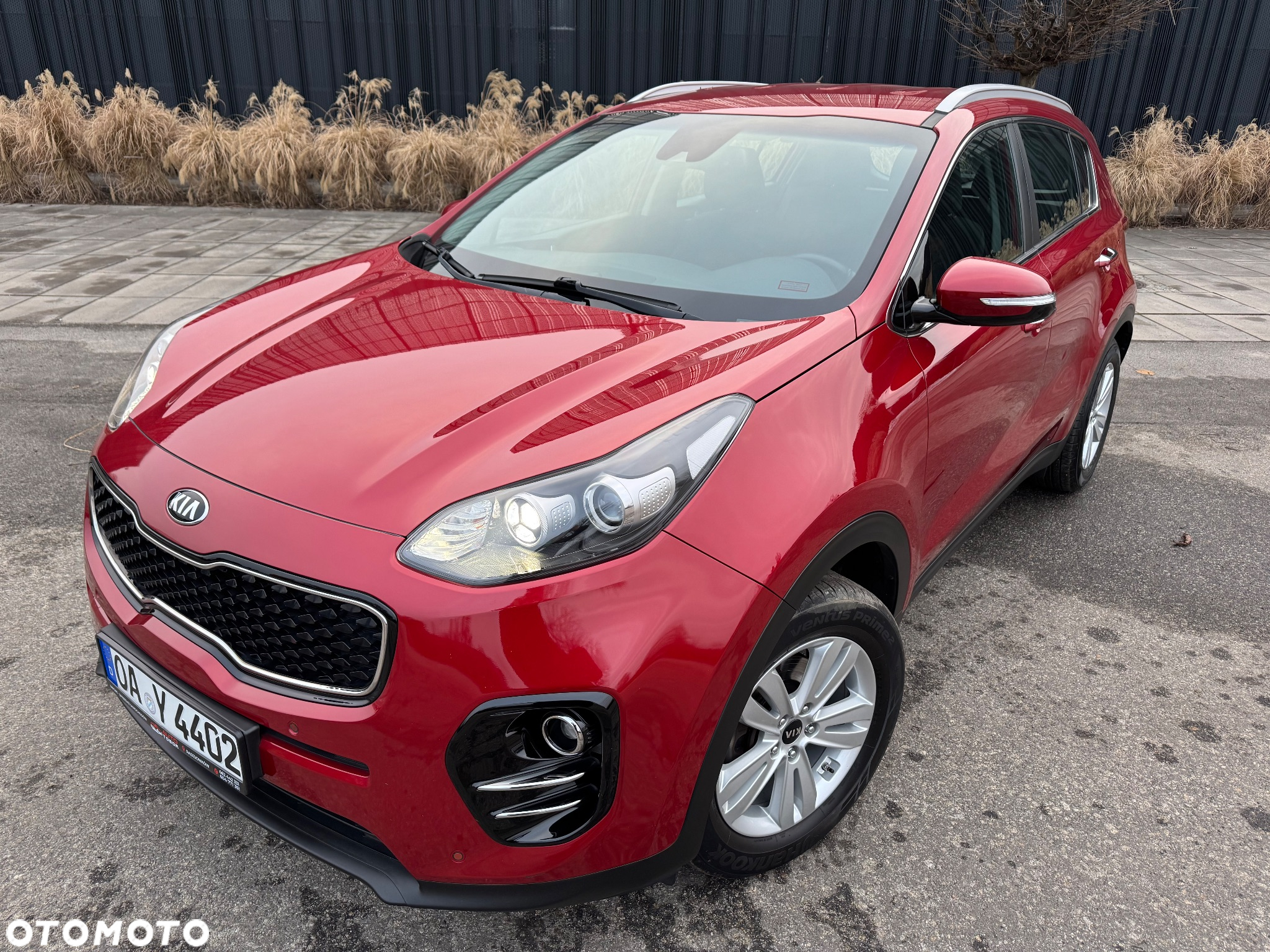 Kia Sportage 1.6 GDI Black Edition 2WD - 4