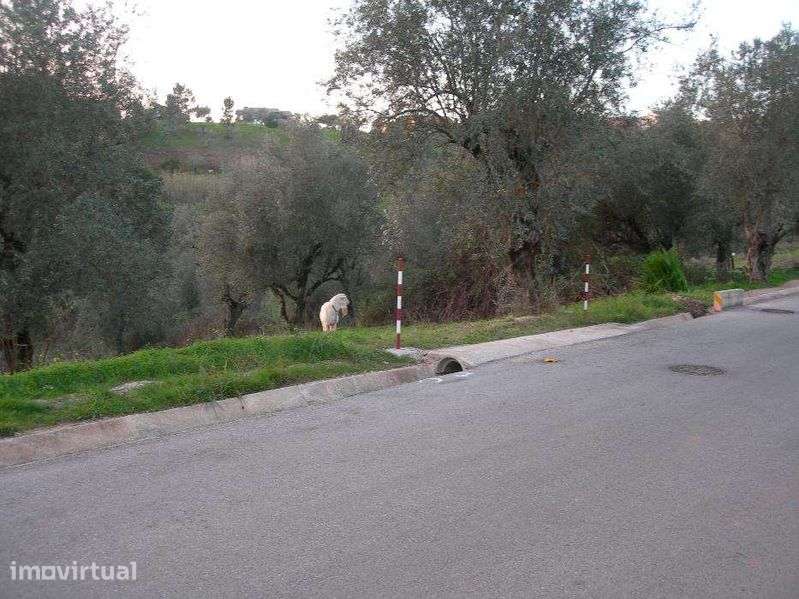 Vendo terreno urbano junto à Solum, Coimbra, para construção. - Grande imagem: 3/8