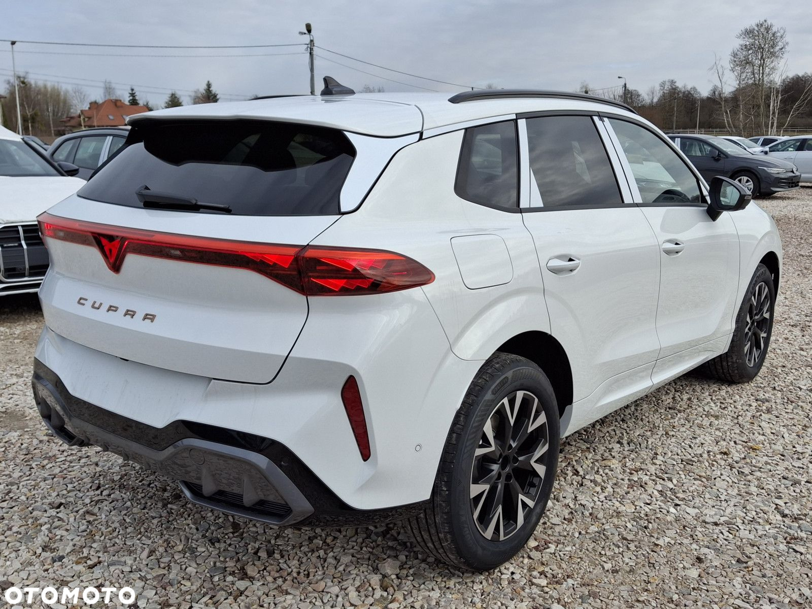 Cupra Terramar - 3