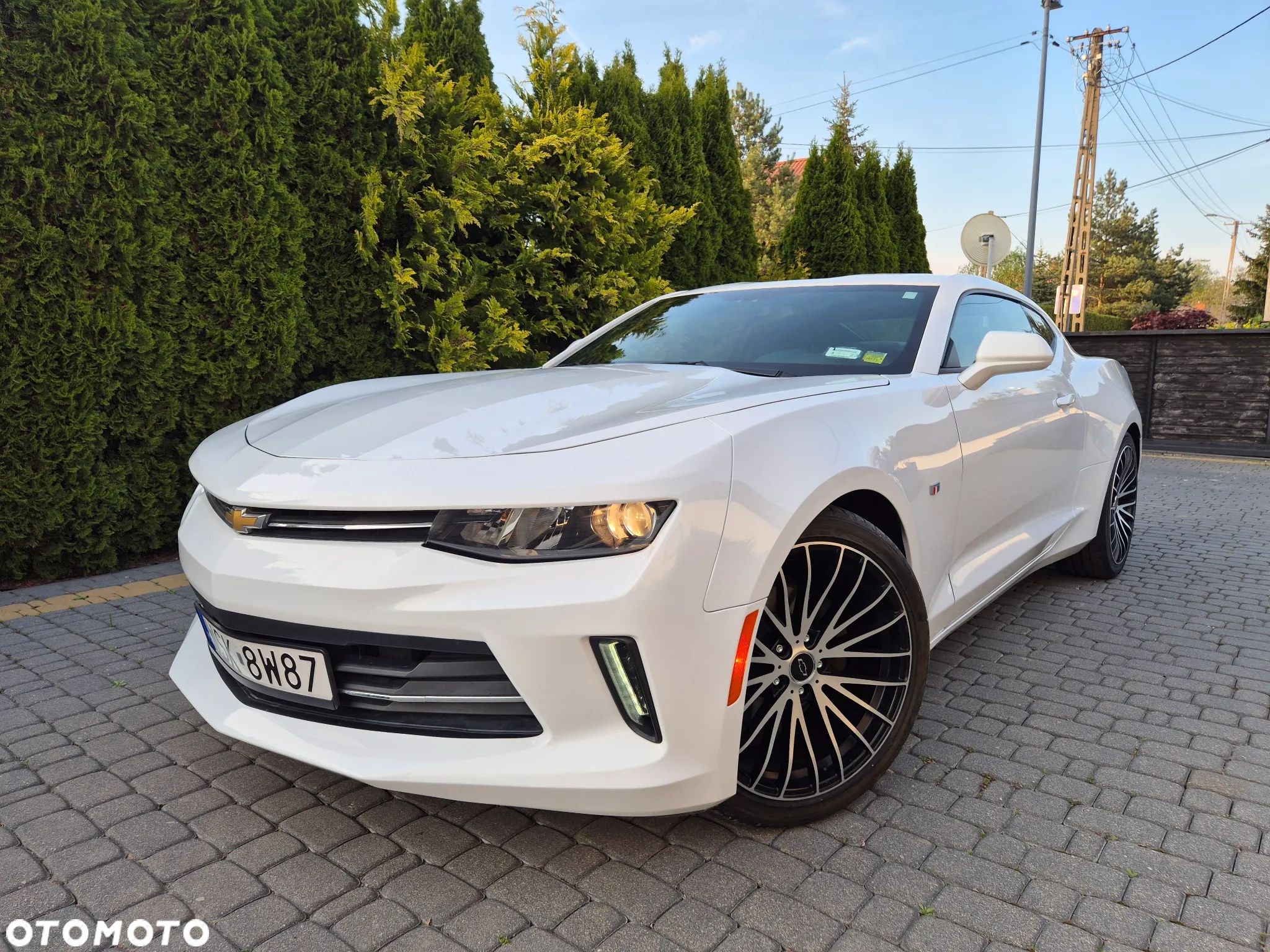 Chevrolet Camaro - 1