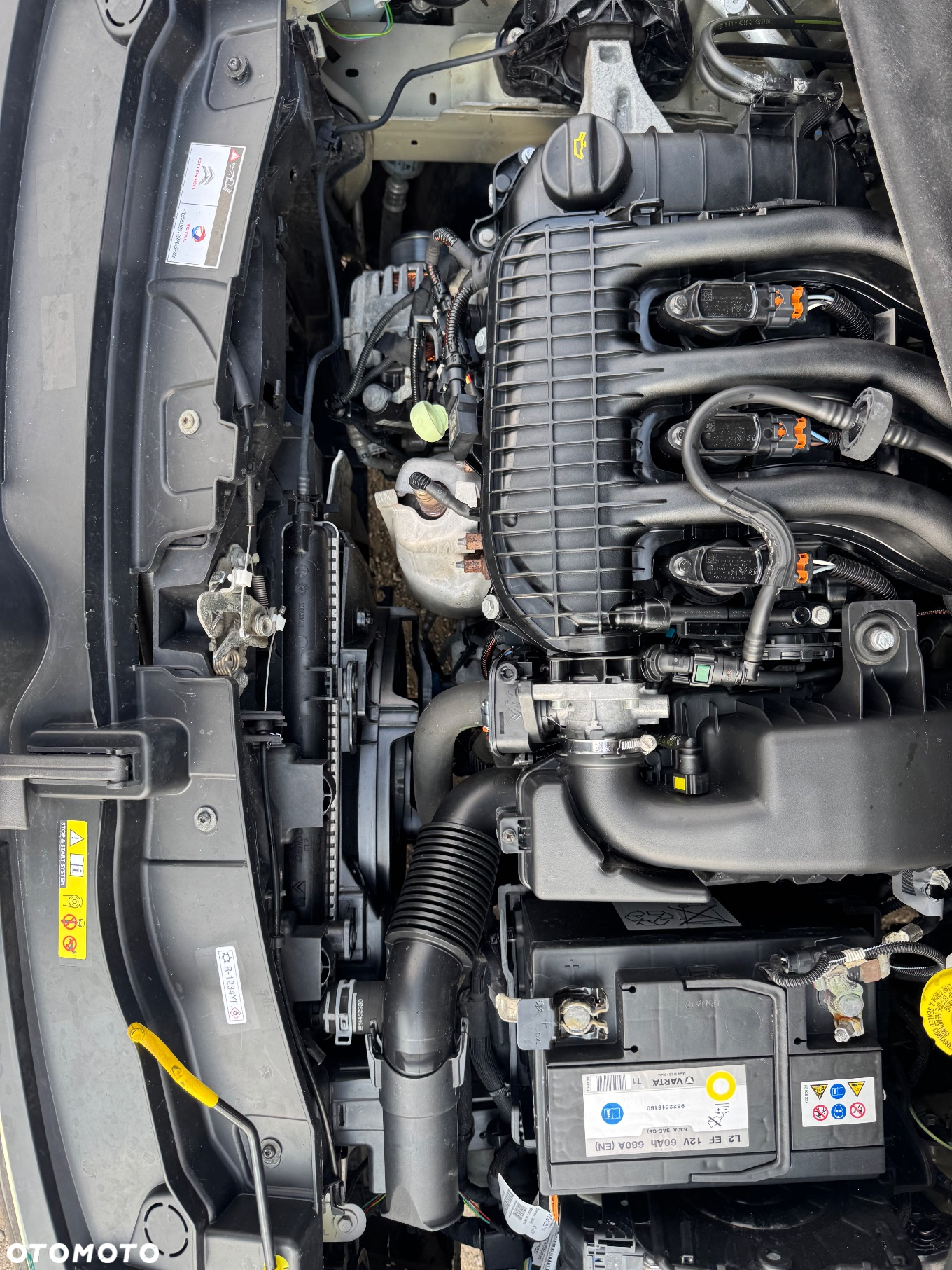 Citroën C3 1.2 PureTech GPF Live - 8