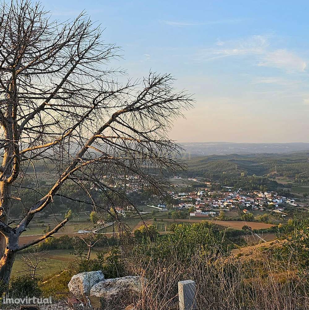 Terreno rústico de 19.720,00 m2 em Abitureiras para vinha e Olival - Grande imagem: 2/12