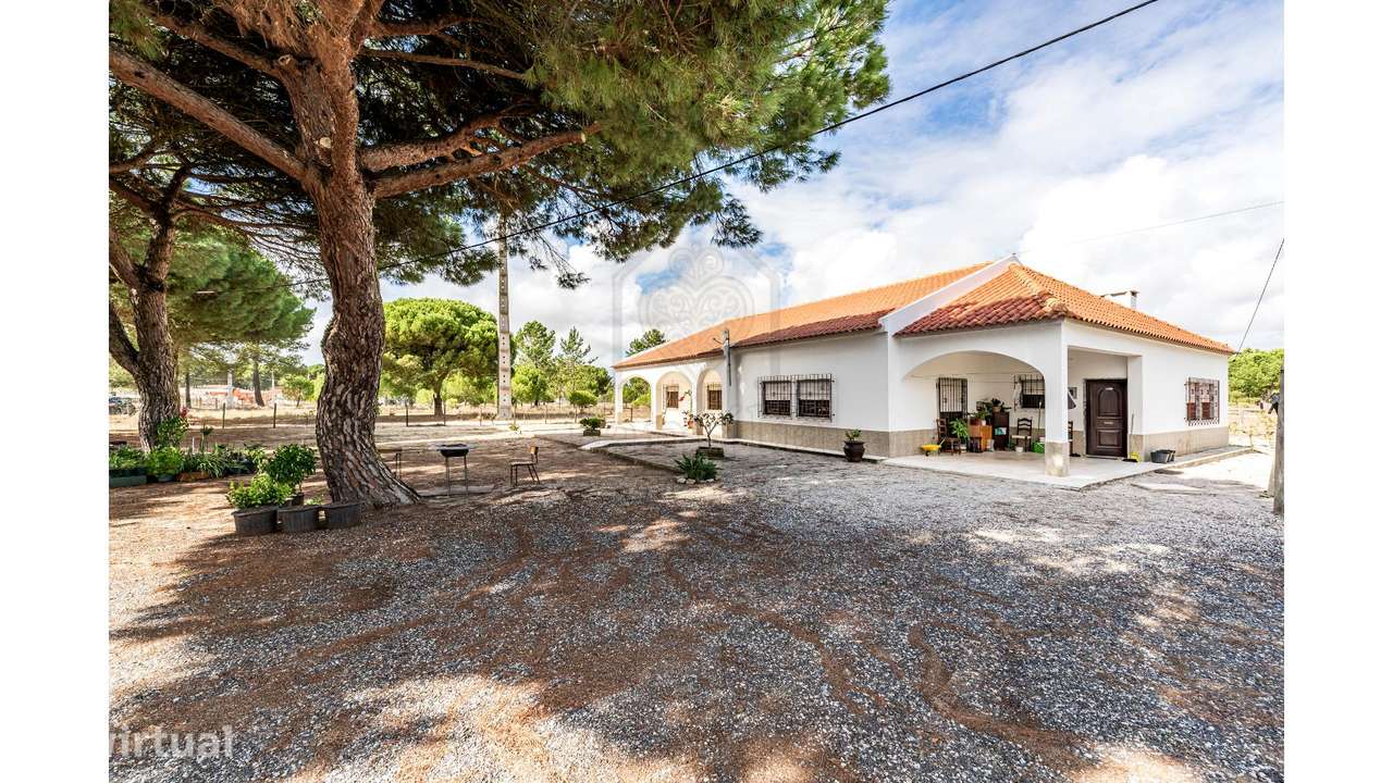 Quinta em Alcacer do Sal - Grande imagem: 2/50