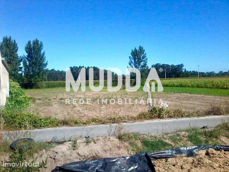Terreno para Construção em Estarreja - Grande imagem: 3/3