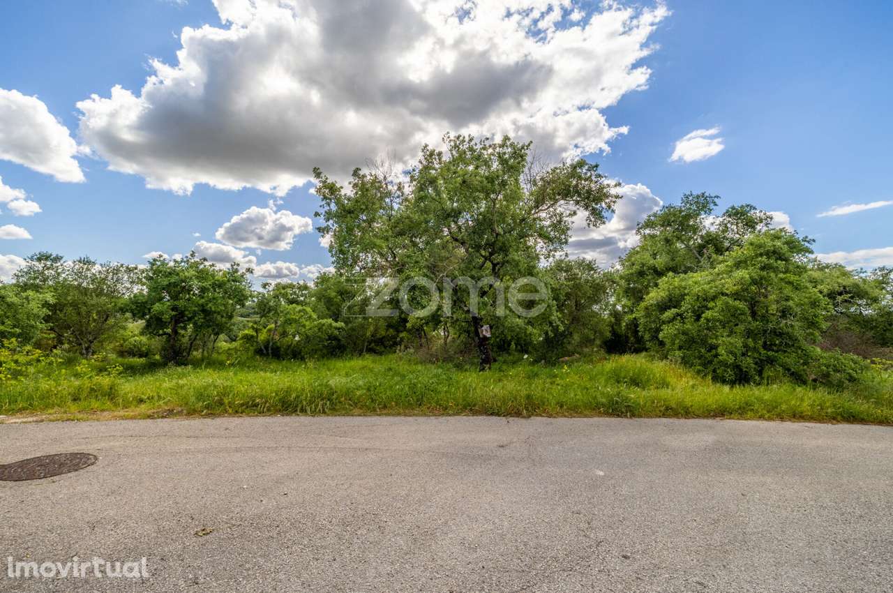 Terreno Urbanizável a 5 min. da Batalha - Grande imagem: 5/41