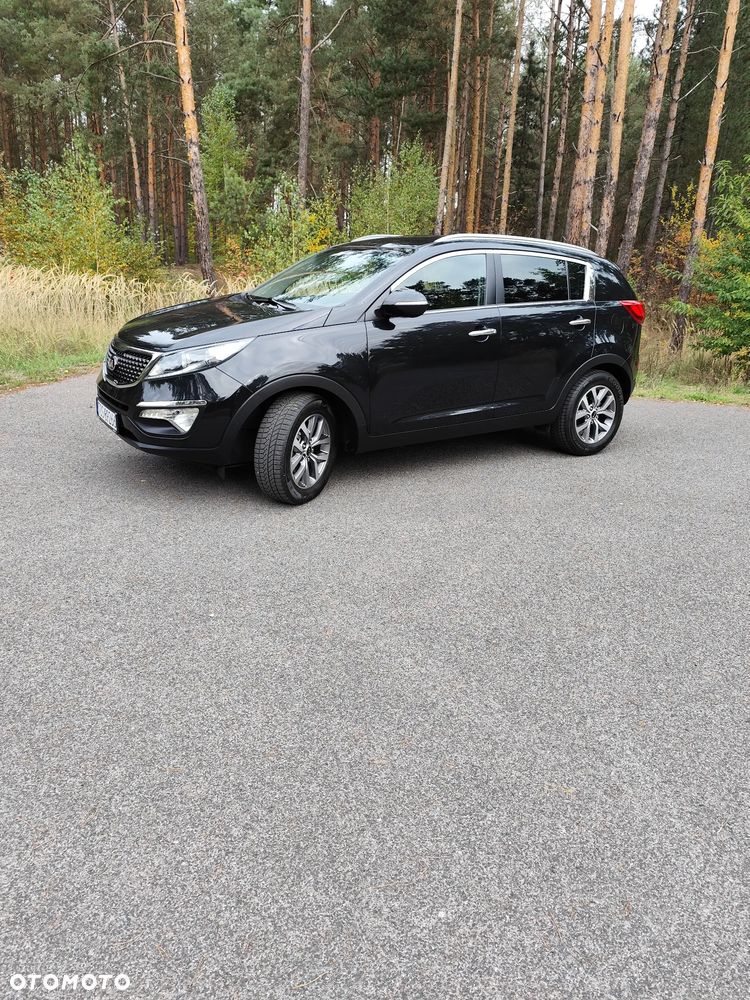 Kia Sportage - 1