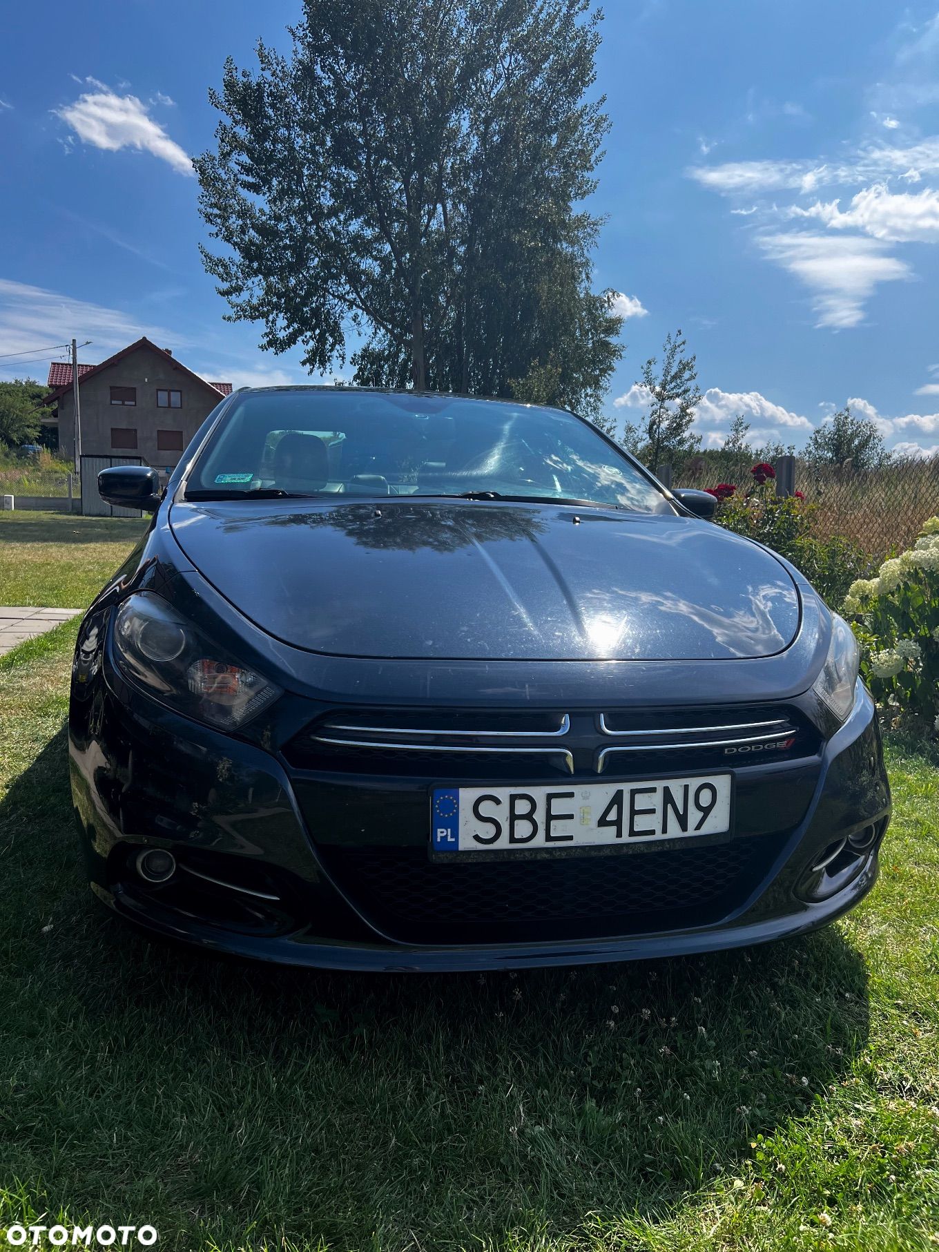 Dodge Dart - 1