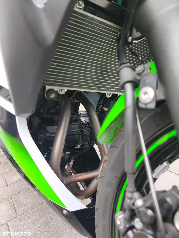 Kawasaki Ninja 300 ABS - 13