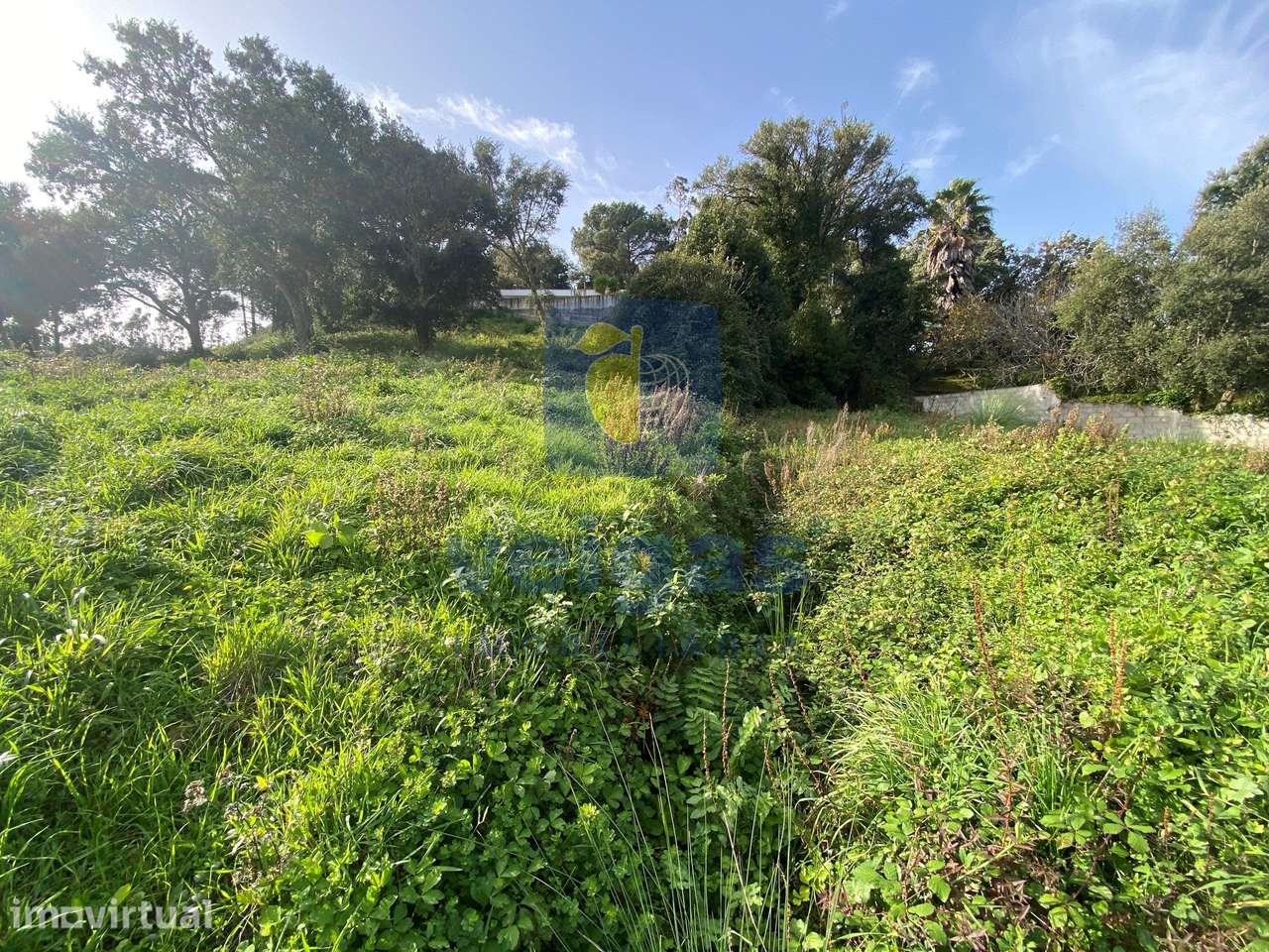 Terreno Urbano para Construção em Salir de Matos – O Local Ideal para - Grande imagem: 2/15
