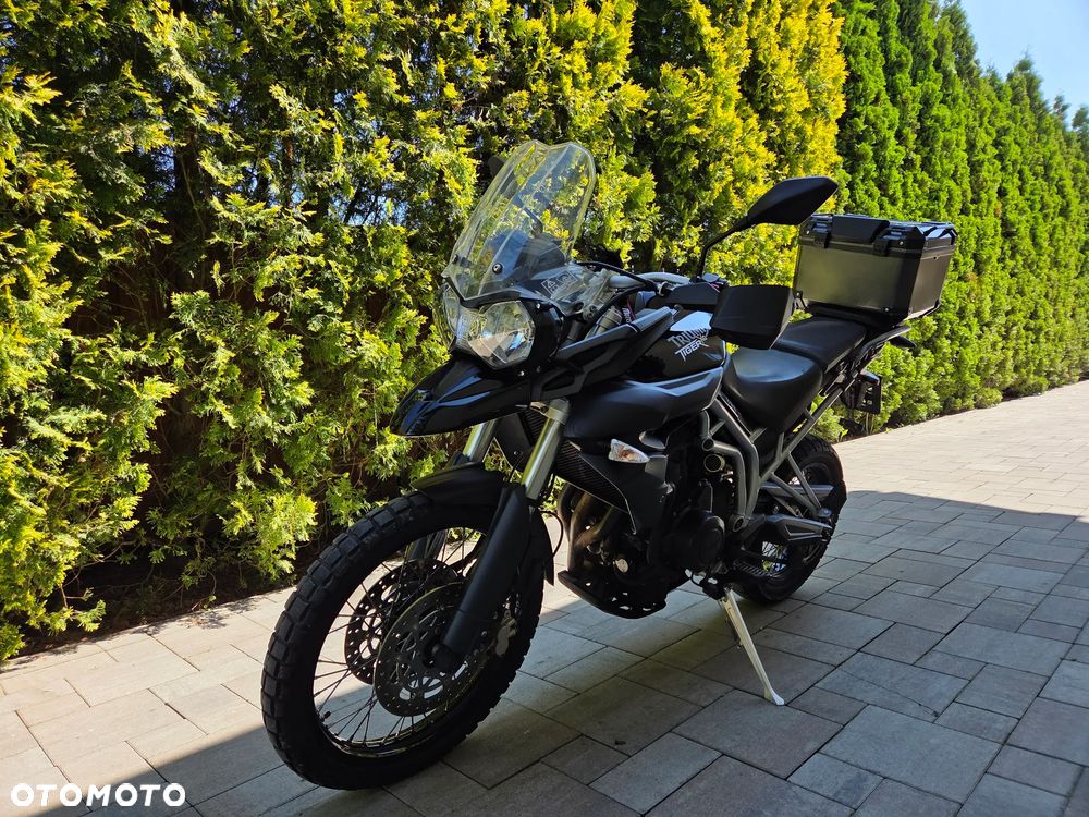 Triumph Tiger - 4