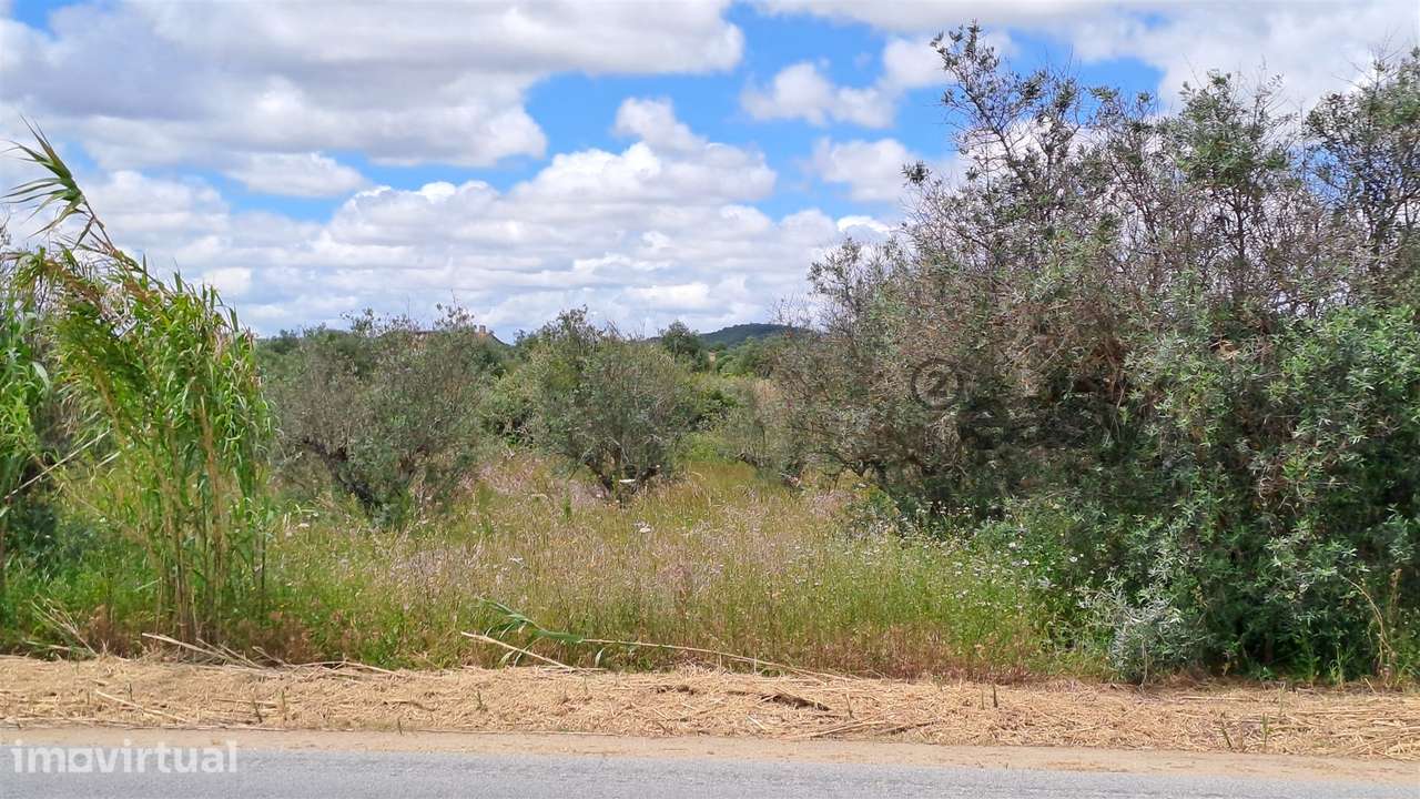 Terreno Rústico para Venda em Vidigueira, com 6 750 m². - Grande imagem: 3/10