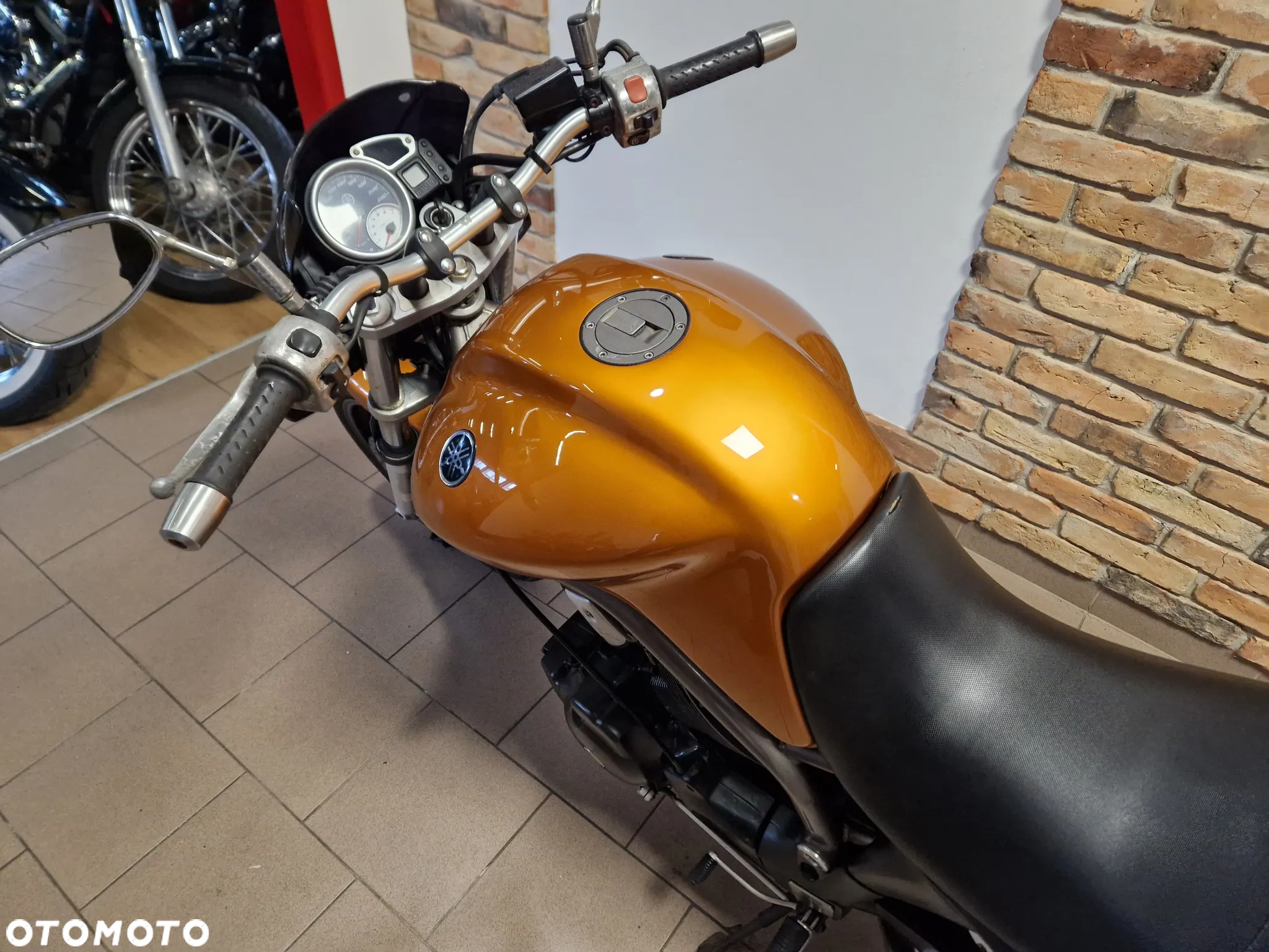 Yamaha Bulldog - 10