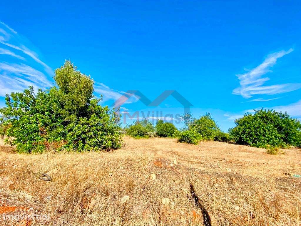 Terreno para construção de habitação, escritórios e comércio - Alma... - Grande imagem: 2/3