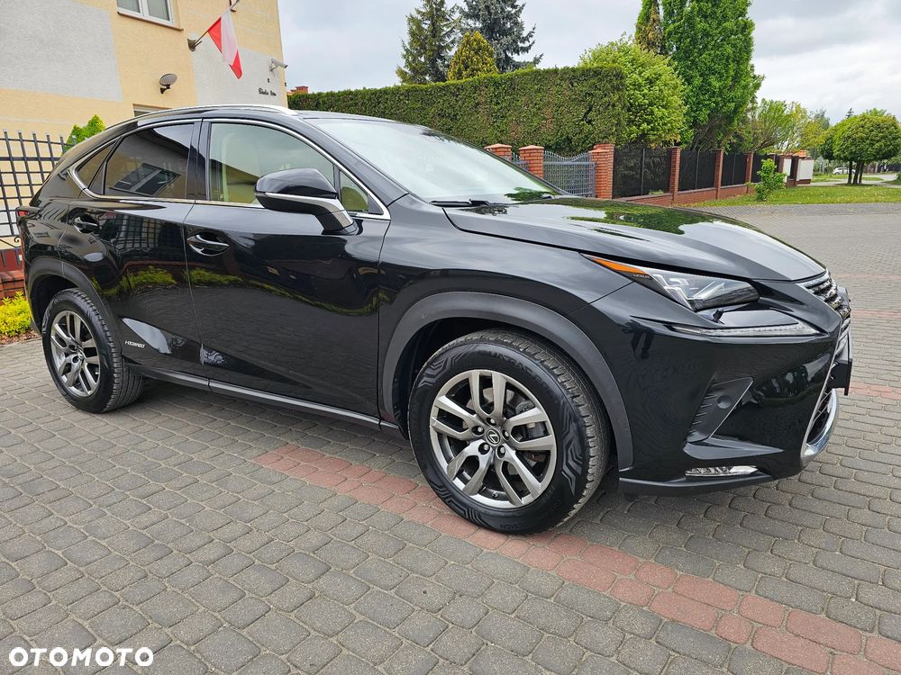 Lexus NX 300h Elegance 2WD - 8