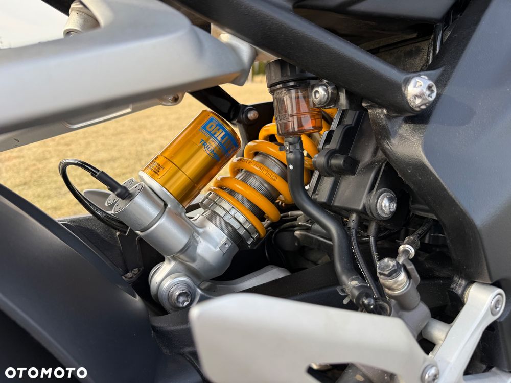 Triumph Speed Triple - 19