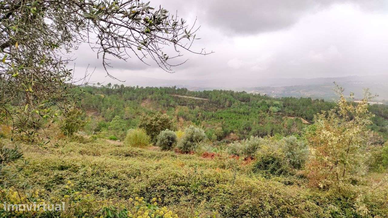 Quinta com vista deslumbrante - Grande imagem: 2/6