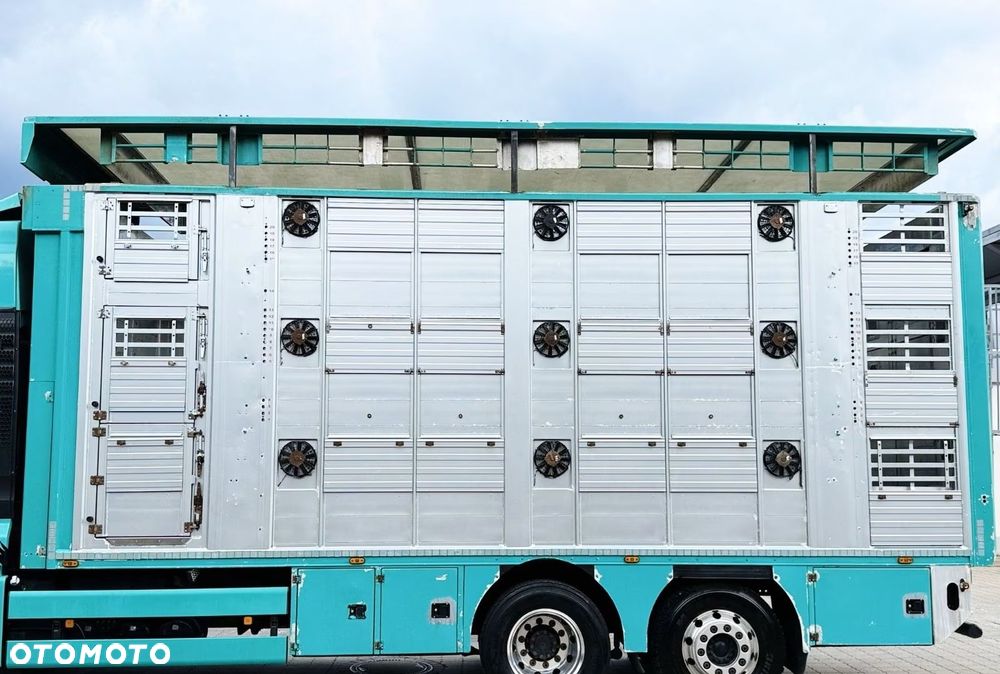 MAN TGX 26.640 D38 6x2 | 3 POZIOMY | TRANSPORT ZWIERZĄT | 640 KM | RETARDER | 2019 - 38