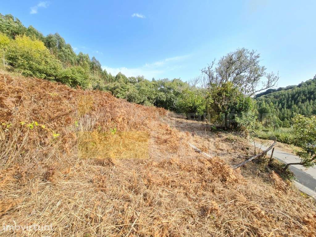 Terreno Rustico com 2957 m2 na Carrasqueira, Malveira . - Grande imagem: 2/21