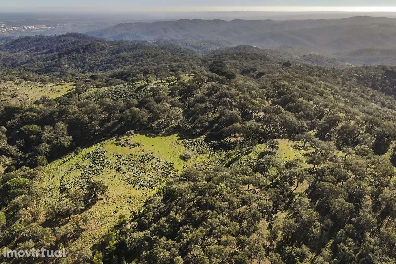 Terreno Rústico 13.0 ha, Grandola - Grande imagem: 4/6