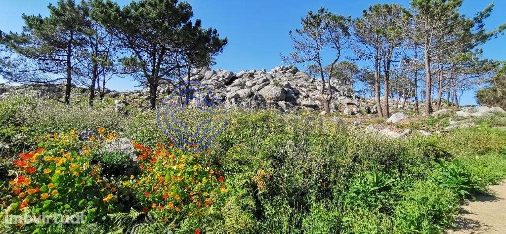 Terreno em Carreço-Montedor, 2 minutos da praia - Grande imagem: 5/12