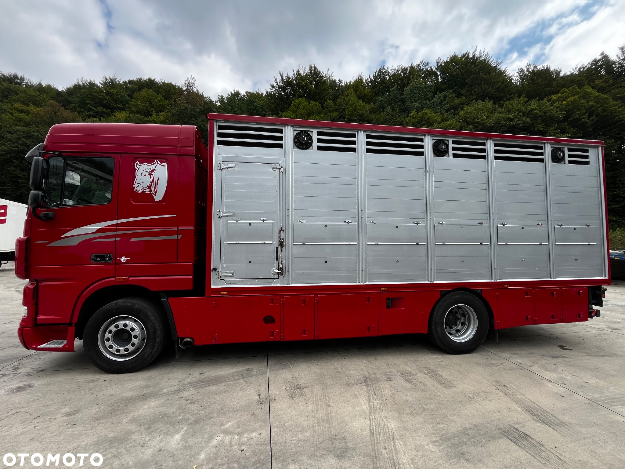 DAF XF 105.460 Euro 5 // Manual // Retarder // Do Żywca / Bydła / Zwierząt / - 5