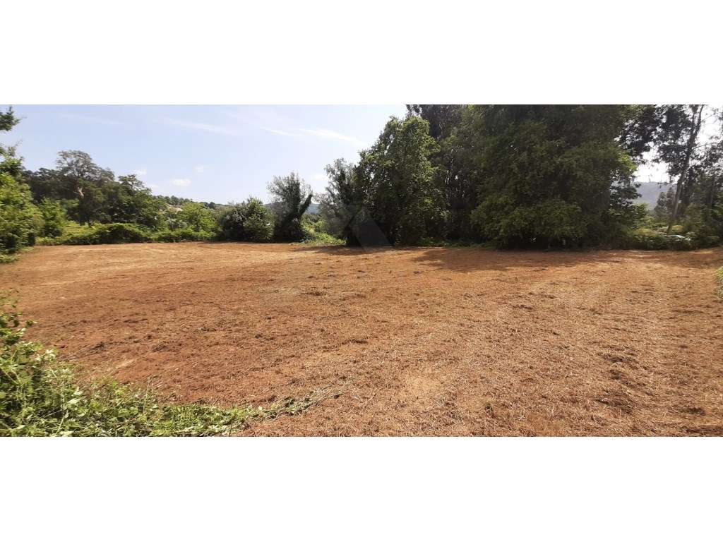 Terreno plano em Fornelos, Ponte de Lima. - Grande imagem: 3/5