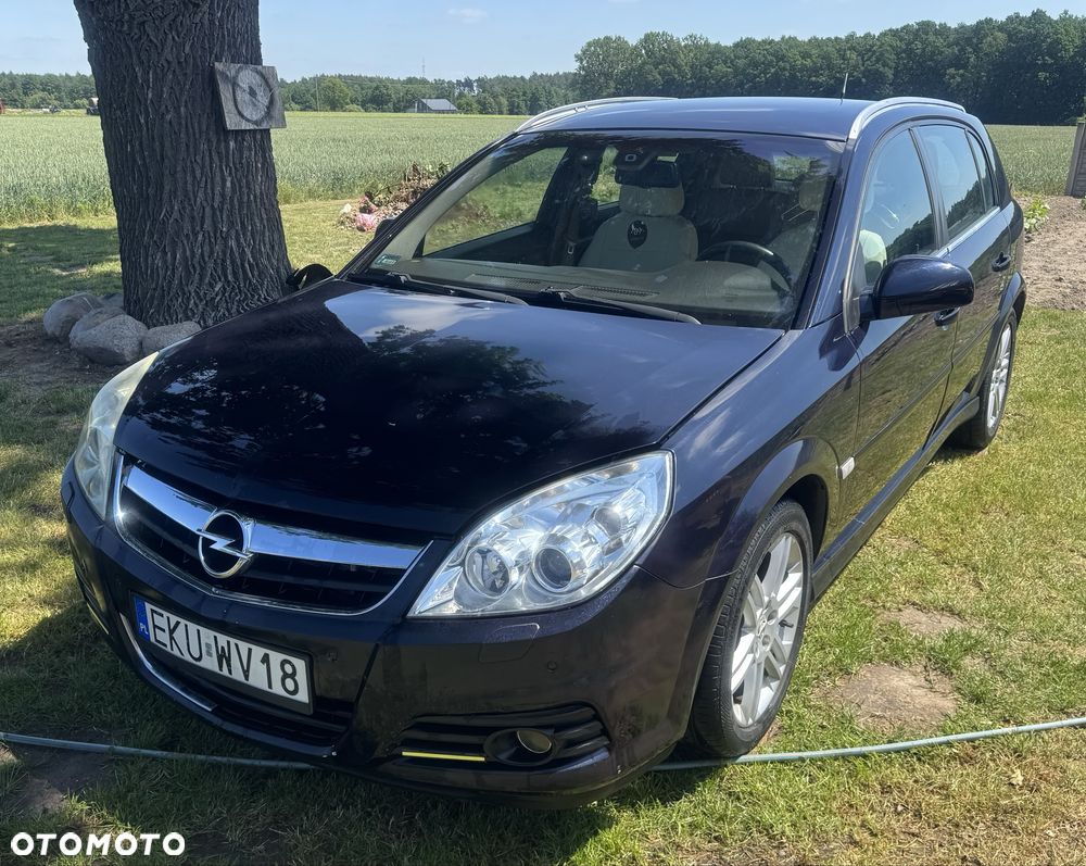 Opel Signum - 1