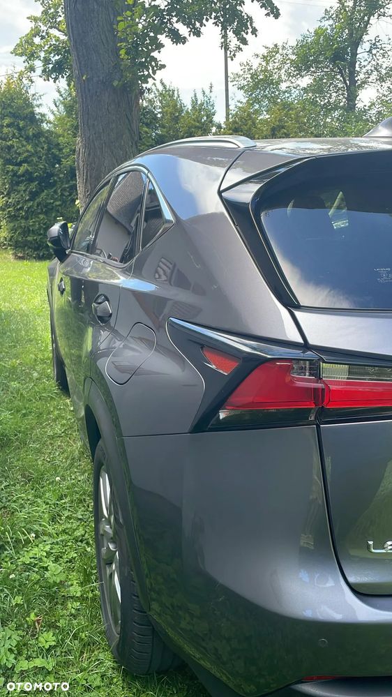 Lexus NX 300h Comfort AWD - 2