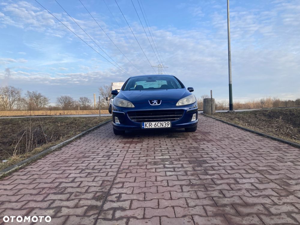 Peugeot 407 - 12
