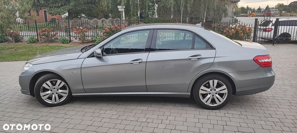 Mercedes-Benz Klasa E 350 CDI BlueEff Elegance - 14