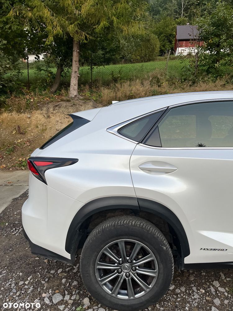 Lexus NX 300h Business Edition AWD - 7