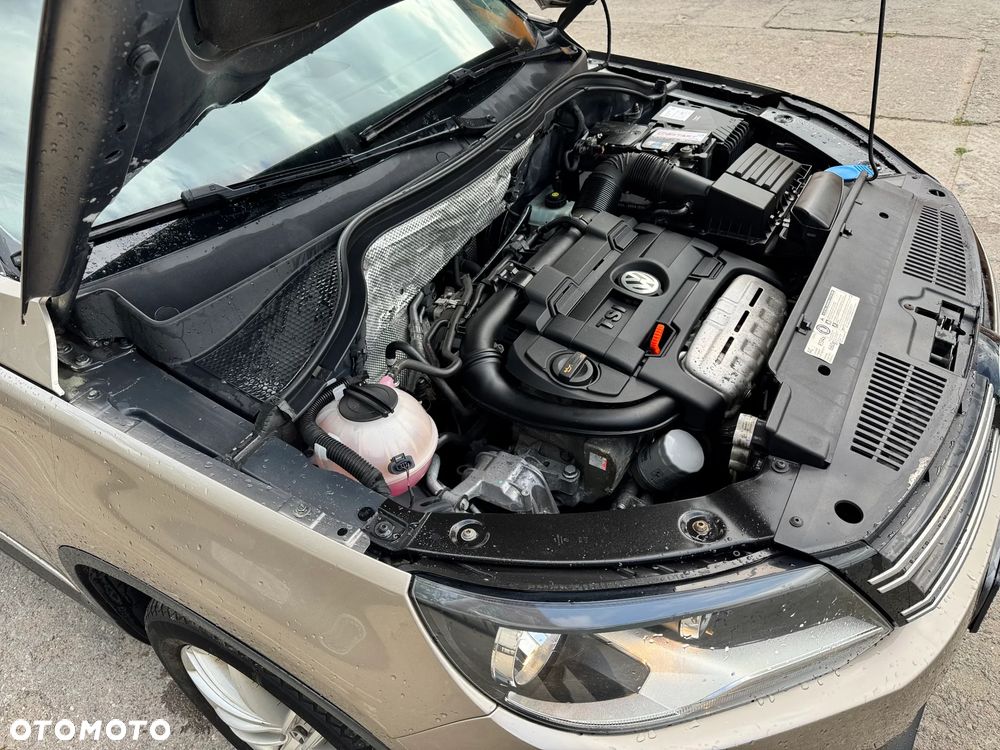 Volkswagen Tiguan - 17