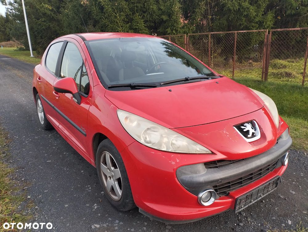 Peugeot 207 - 5