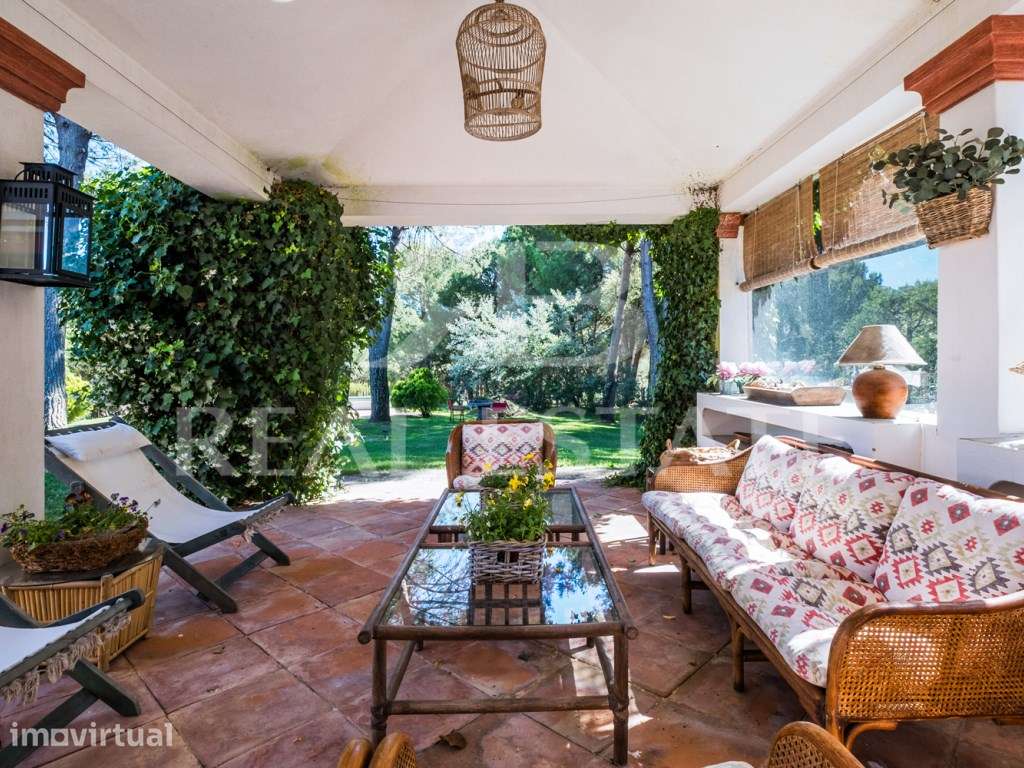 Casa T5 com anexo, em lote de 2 hectares - Jardim, Piscina, Pinhal ... - Grande imagem: 3/60