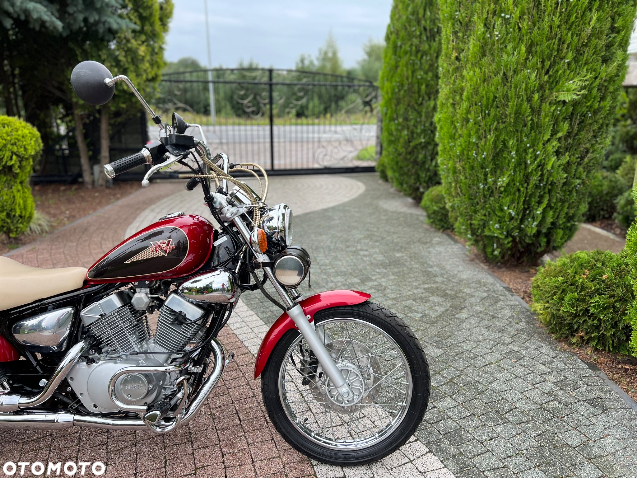 Yamaha Virago - 5