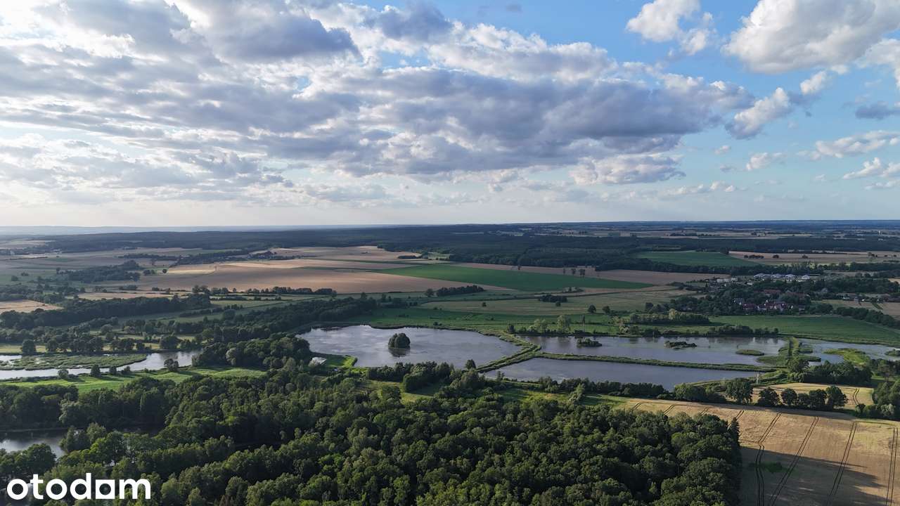 Działki w lesie 50 minut od Wrocławia – od 39 577,03 zł brutto! - Pełny obrazek: 3/8