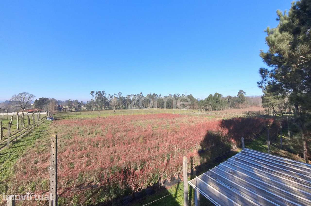 Quinta Agrícola 13300m2 em Barreiros, Amares - Grande imagem: 5/21