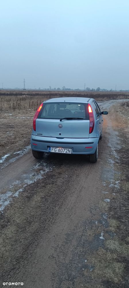 Fiat Punto 1.2 8V Classic - 5