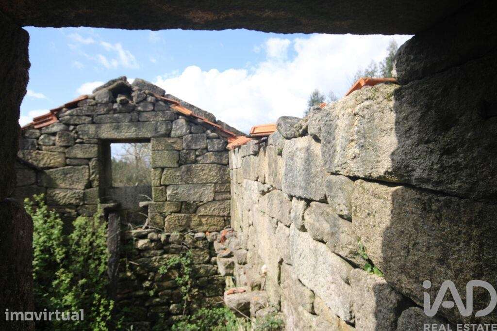 Casa rústica em Cambra e Carvalhal de Vermilhas de 3971 m2 - Grande imagem: 4/38
