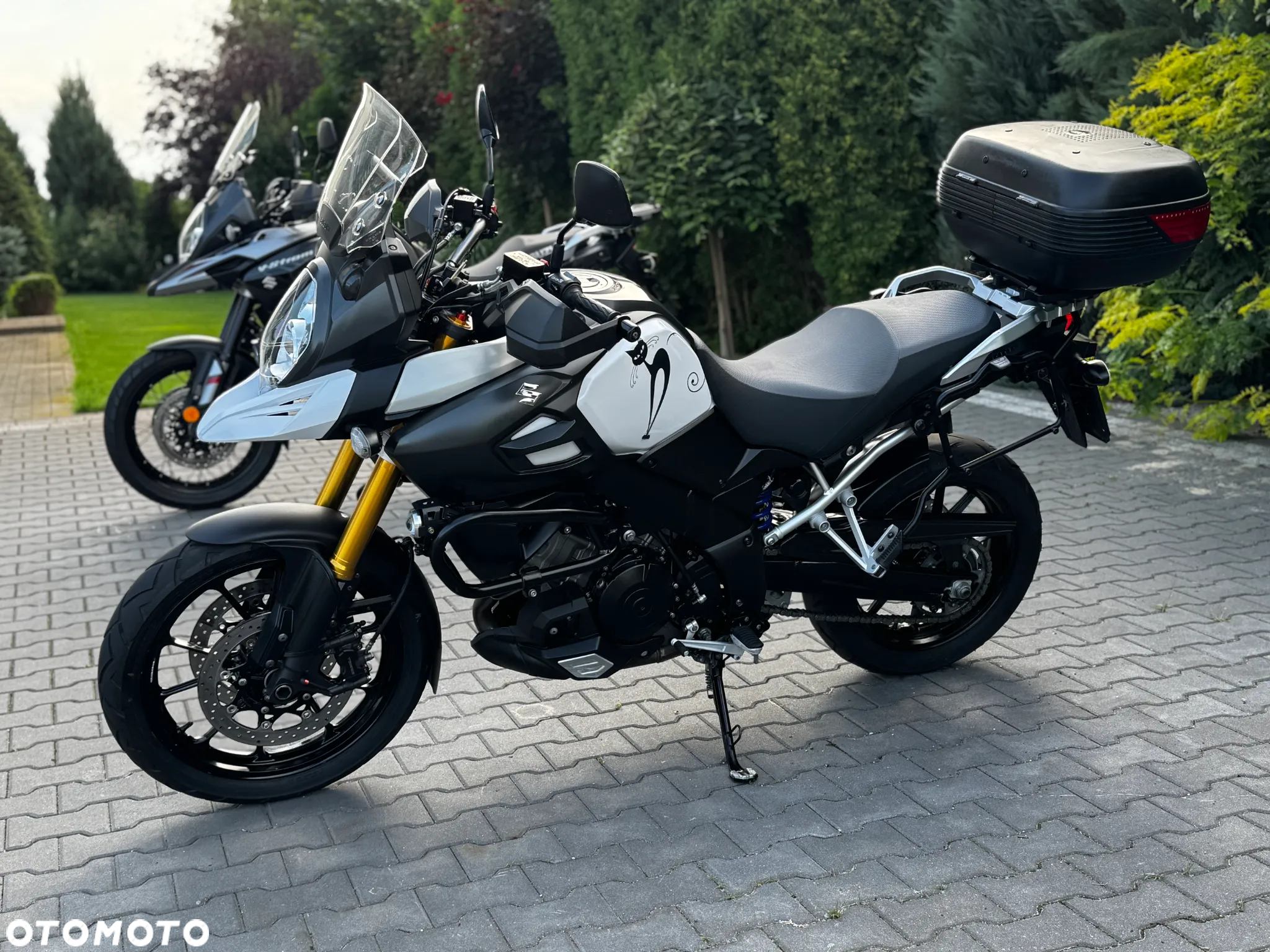 Suzuki V-STROM - 5