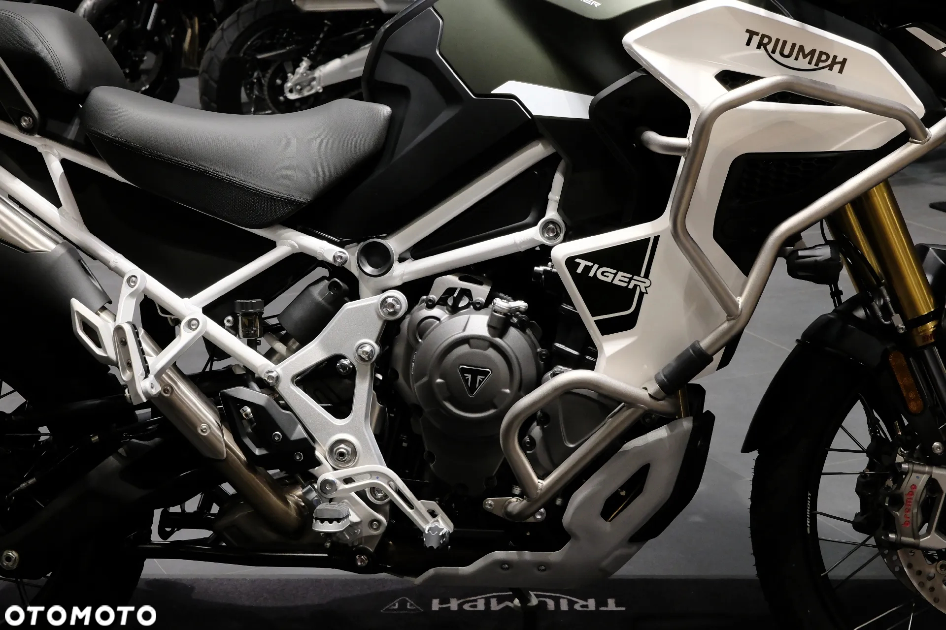 Triumph Tiger - 4