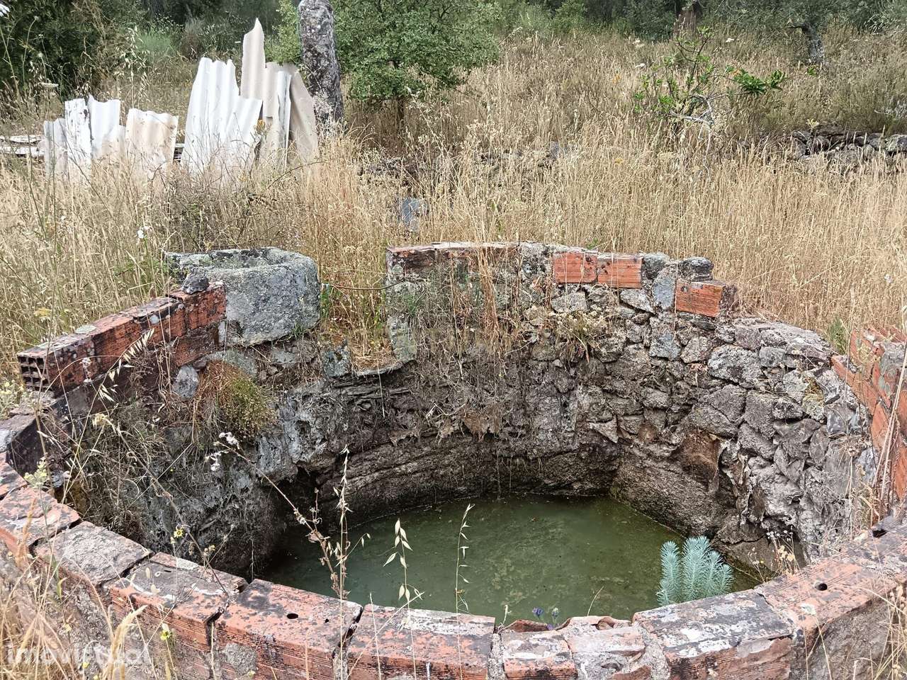 Terreno Rústico, 840m2, Palvarinho - Grande imagem: 5/7