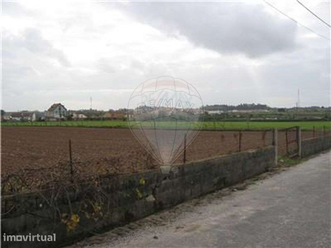 Terreno T0 para venda - Grande imagem: 4/6