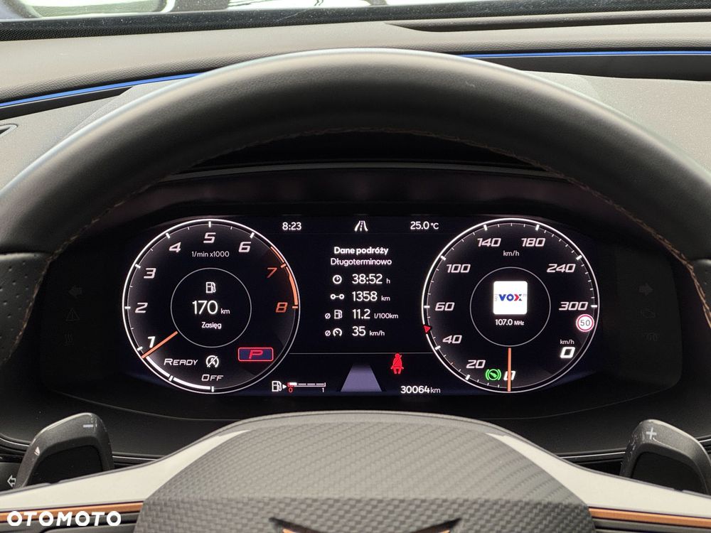 Cupra Formentor 2.0 TSI 4Drive DSG - 19