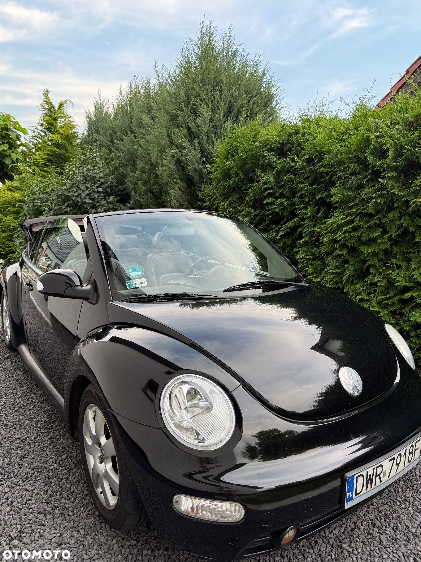 Volkswagen New Beetle 2.0 - 10