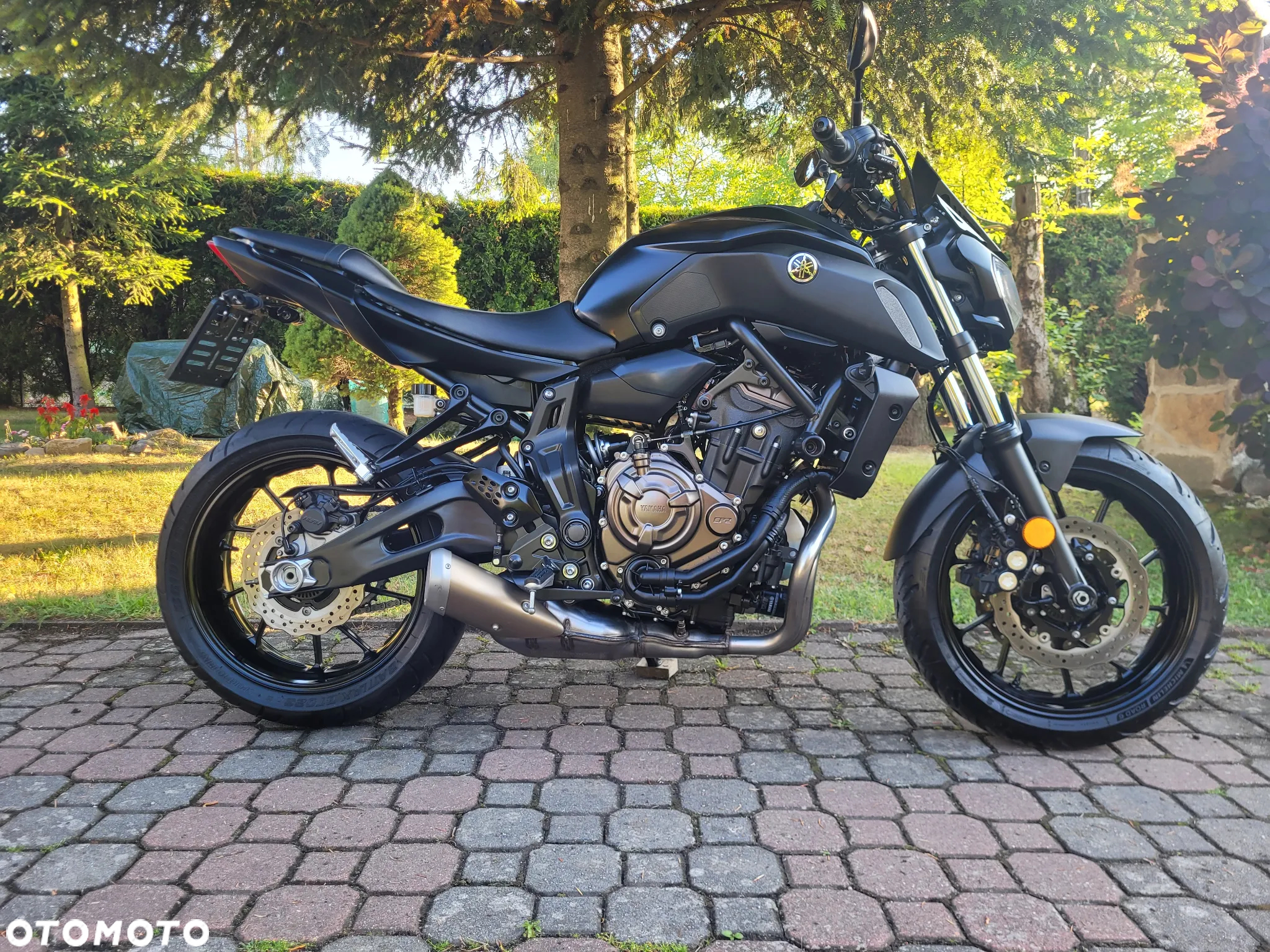 Yamaha MT - 13